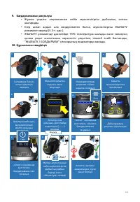 Страница 231