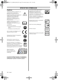 Страница 258