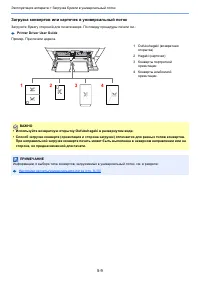 Страница 179