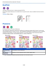 Страница 242