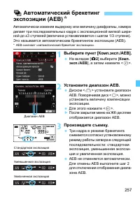 Страница 257