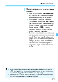 Страница 271