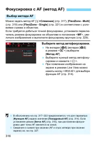 Страница 316