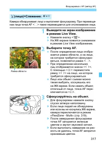 Страница 317