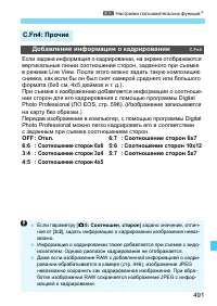 Страница 491