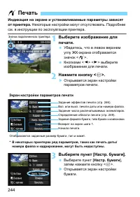 Страница 244