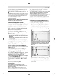 Страница 263