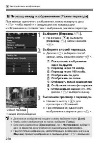 Страница 251