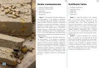 Страница 105