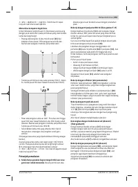 Страница 243