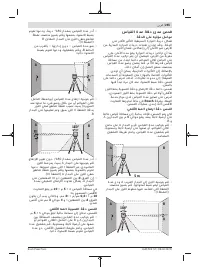 Страница 255