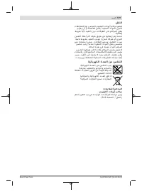 Страница 519