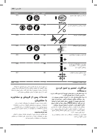 Страница 242