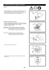 Страница 101