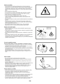 Страница 113