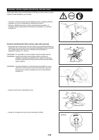 Страница 119