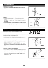 Страница 121
