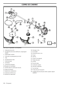 Страница 266