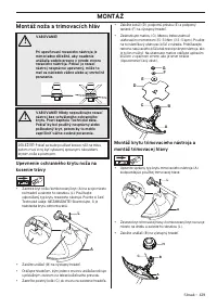 Страница 429