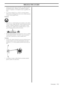 Страница 729