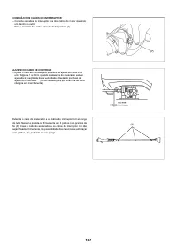 Страница 137