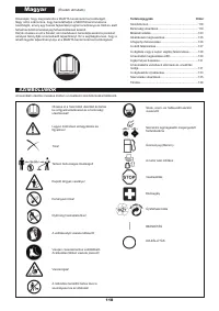 Страница 118