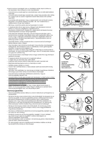 Страница 120