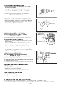 Страница 137