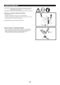 Страница 172