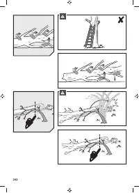 Страница 244