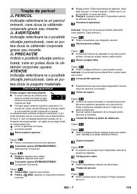 Страница 119