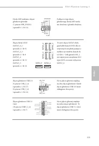 Страница 117