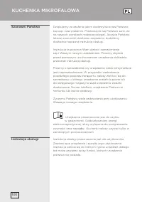 Страница 100