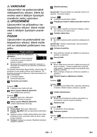 Страница 101