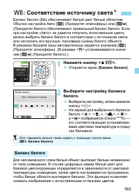 Страница 163