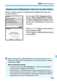 Страница 343