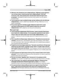 Страница 243