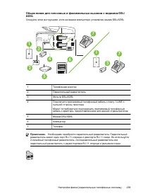 Страница 243