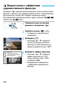 Страница 250