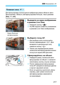 Страница 217