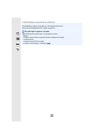 Страница 240