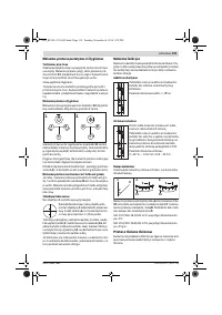 Страница 119