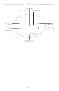 Страница 736