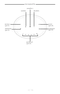Страница 536