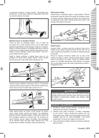 Страница 217