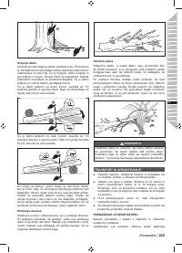 Страница 227