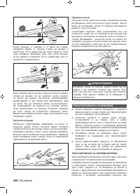Страница 250