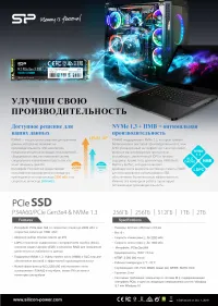 SILICON POWER SP256GBP34A60M28