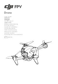DJI FPV Combo (CP.FP.00000002.01)