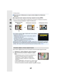 Страница 116